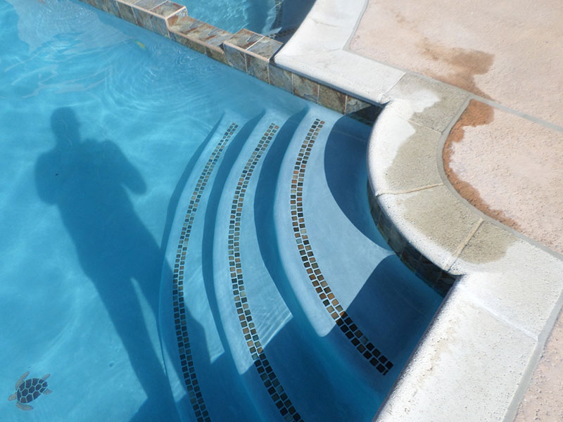 Trim Tile and Spotters | Alan Smith Pools
