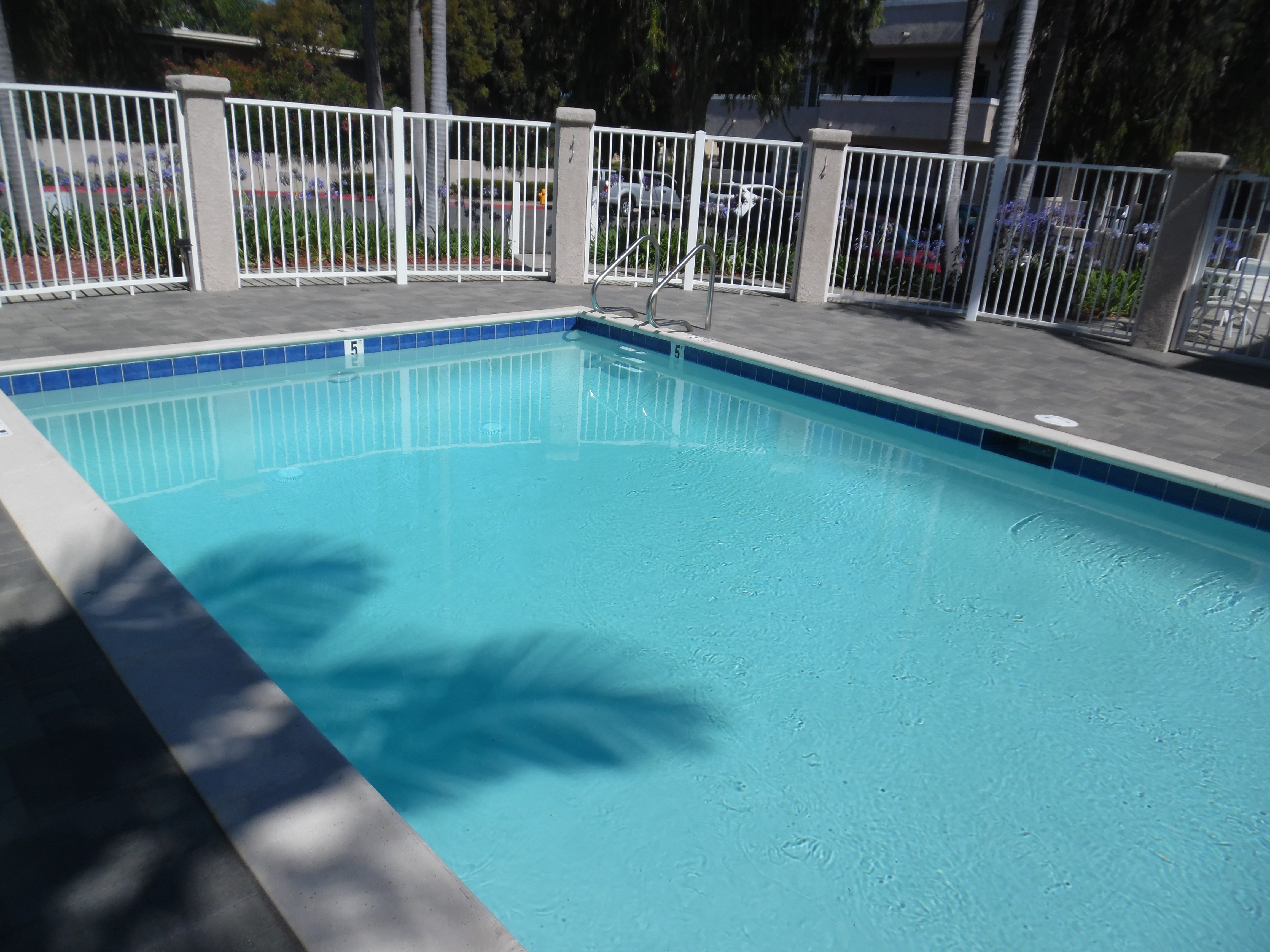 Pool Tile. Pool Coping.