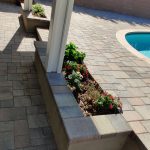 Pool & White plaster - coping - Pavers - Alumawood and planters